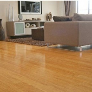 bamboo flooring