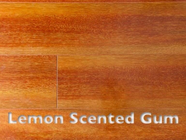 Laminate Flooring Brisbane Brisbane Floors Bamboo Flooring